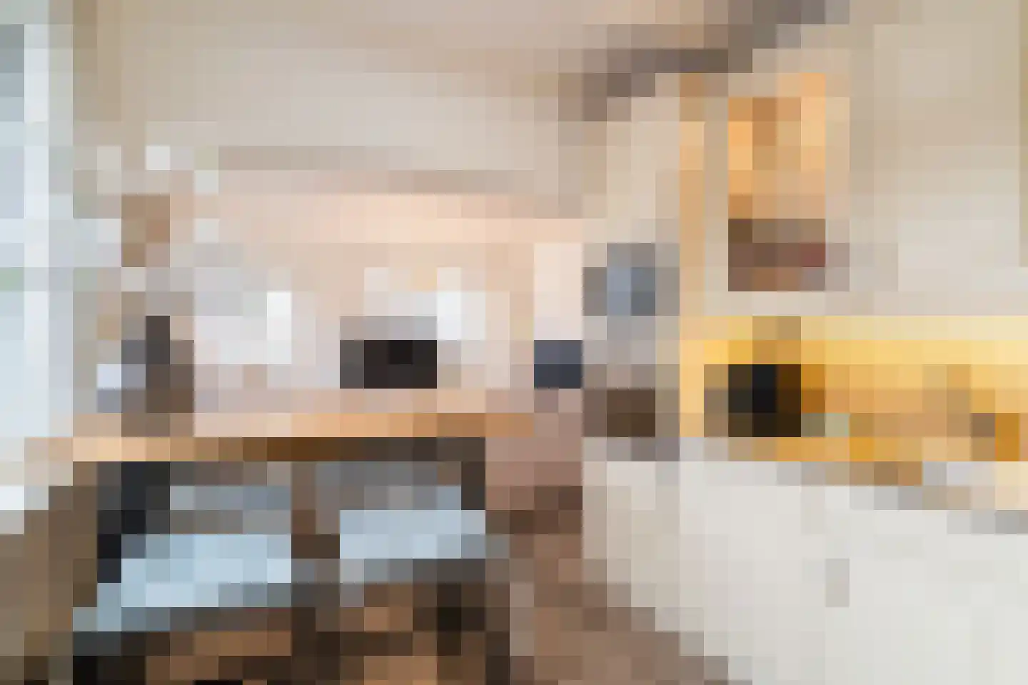 Dageraadsweg 47 's-Hertogenbosch thumbnail 9