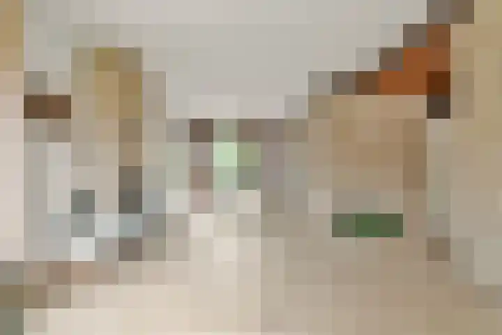 Dageraadweg 10 Vijfhuizen thumbnail 11