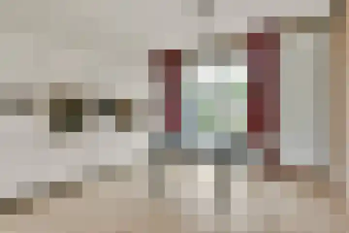 Dageraadweg 10 Vijfhuizen thumbnail 14
