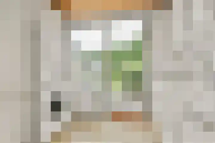 Dageraadweg 10 Vijfhuizen thumbnail 17