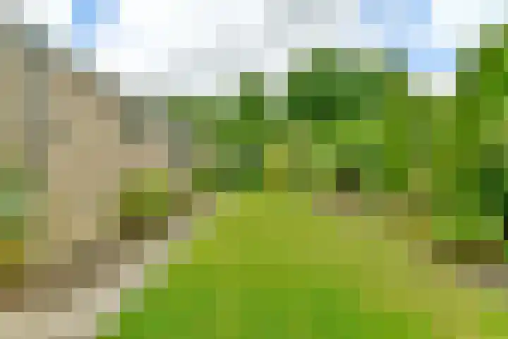 Dageraadweg 10 Vijfhuizen thumbnail 20