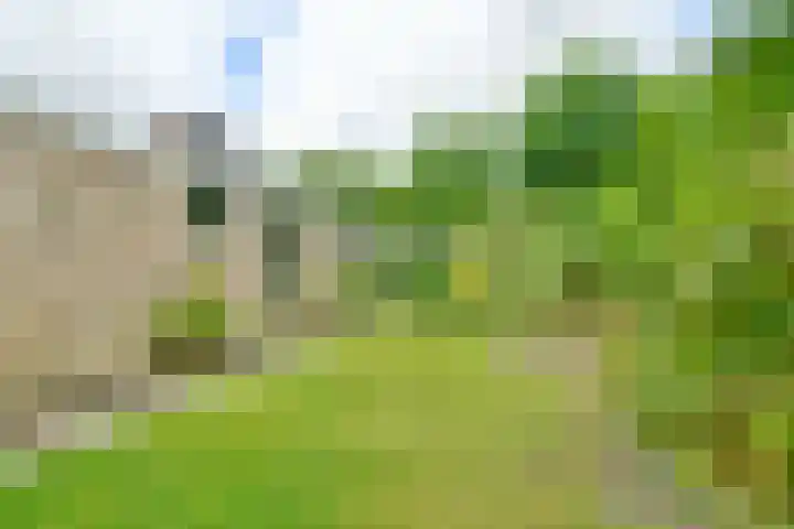 Dageraadweg 10 Vijfhuizen thumbnail 21
