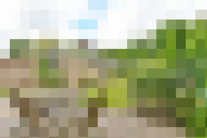 Dageraadweg 10 Vijfhuizen thumbnail 22