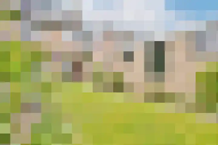 Dageraadweg 10 Vijfhuizen thumbnail 23