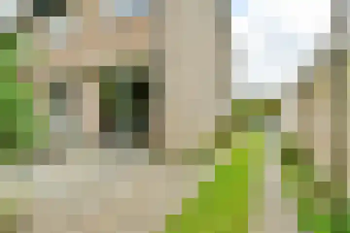 Dageraadweg 10 Vijfhuizen thumbnail 25