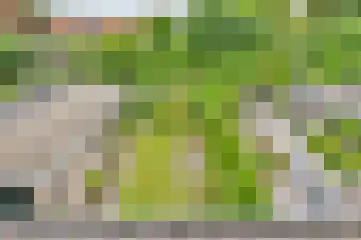 Dageraadweg 10 Vijfhuizen thumbnail 28