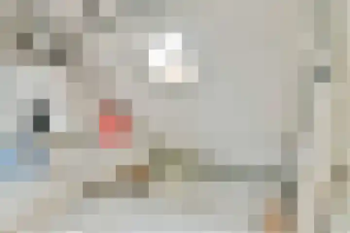 Dageraadweg 10 Vijfhuizen thumbnail 38