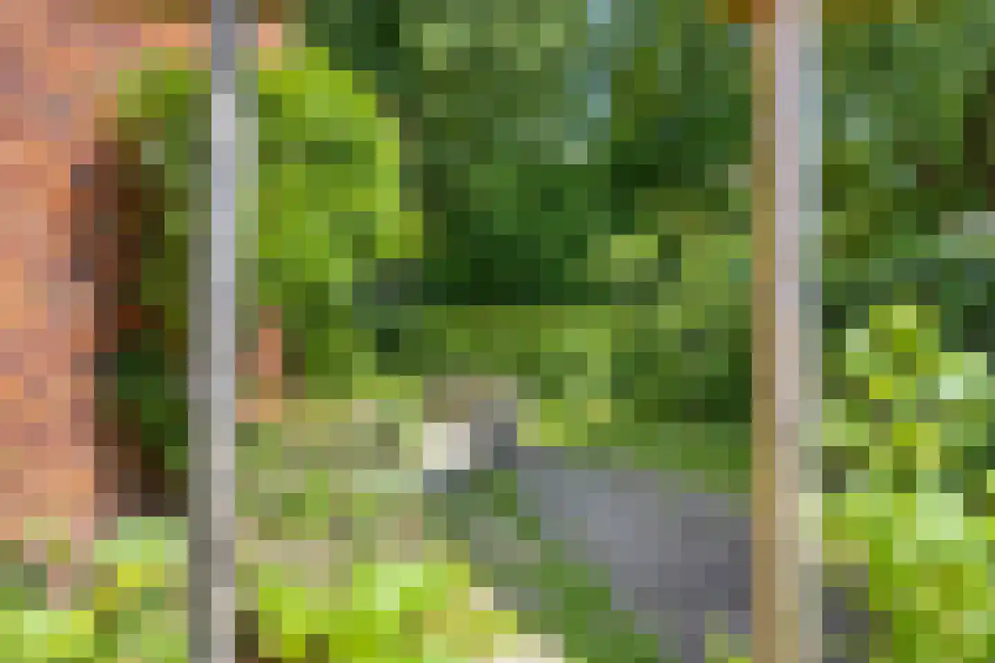 Daggertsweg 10 Deventer thumbnail 37