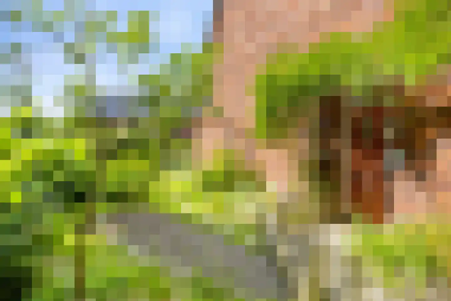 Daggertsweg 10 Deventer thumbnail 7