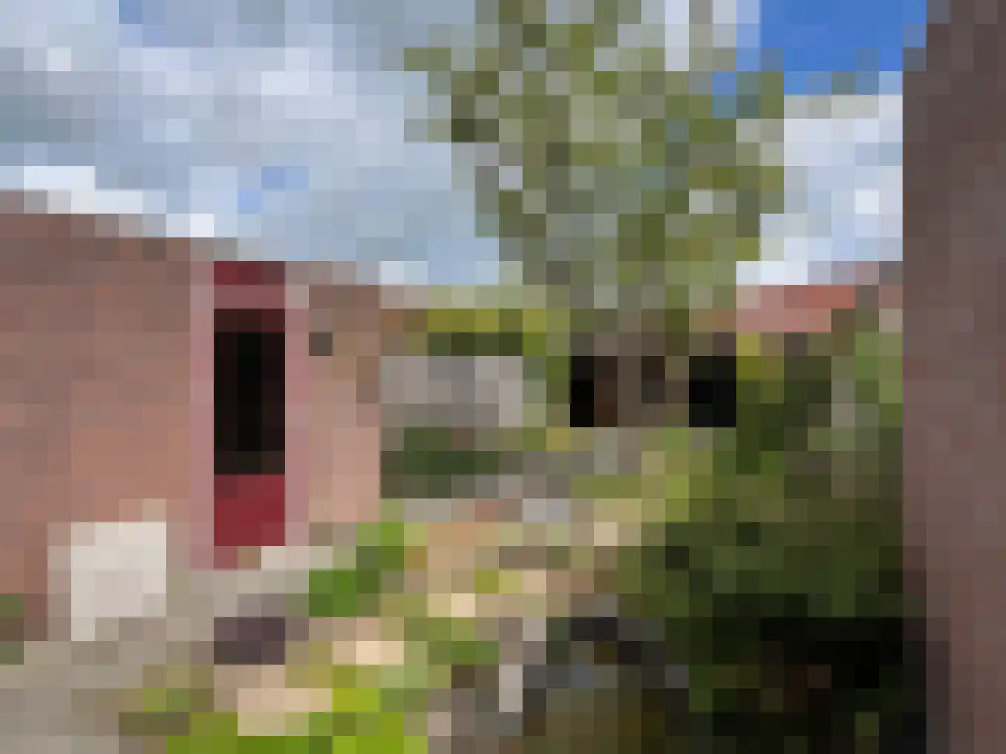 Dagmaatstraat 23 Purmerend thumbnail 11