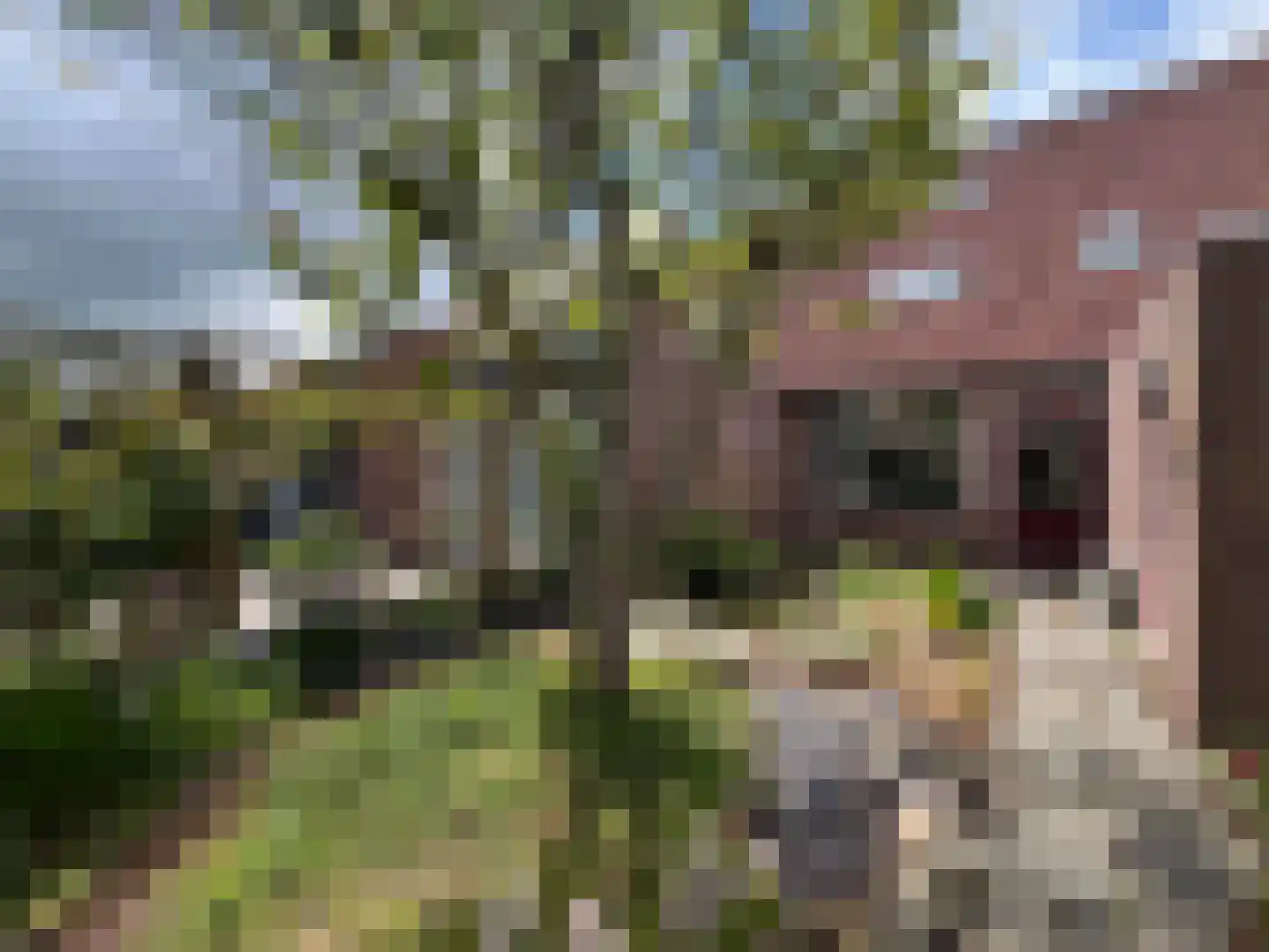 Dagmaatstraat 23 Purmerend thumbnail 12