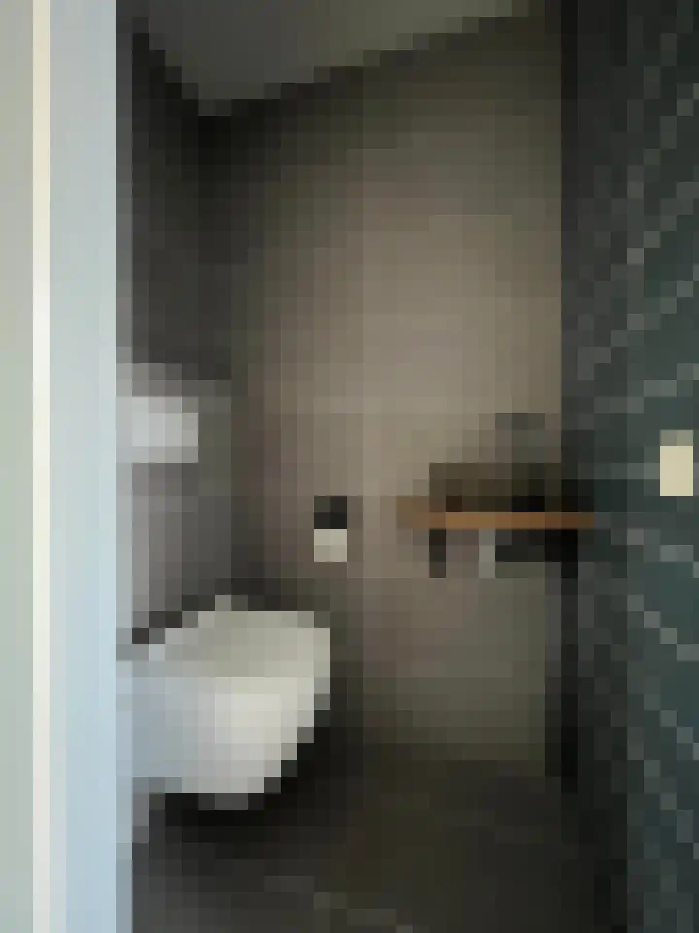 Dagmaatstraat 23 Purmerend thumbnail 17