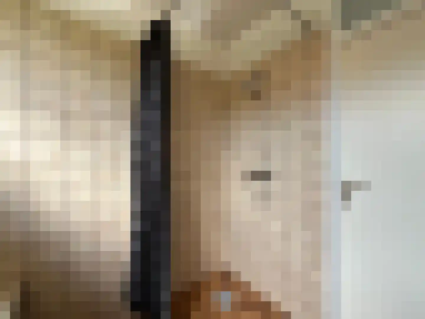 Dagmaatstraat 23 Purmerend thumbnail 24