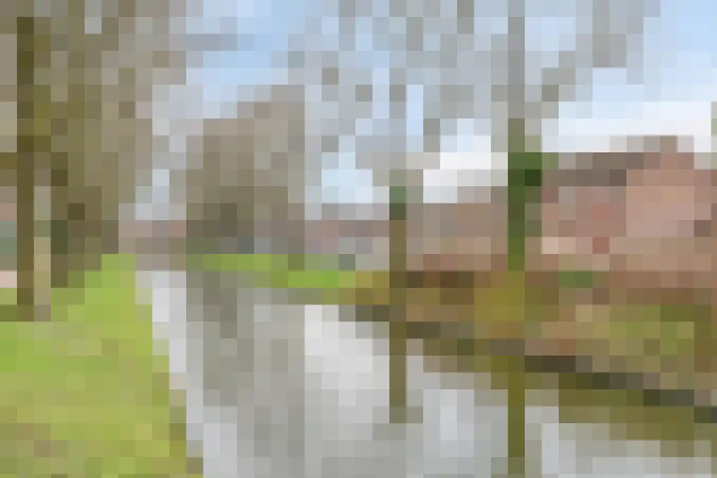 Dagmaatstraat 24 Purmerend thumbnail 27