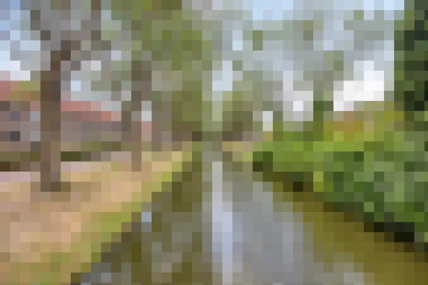 Dagmaatstraat 28 Purmerend thumbnail 33