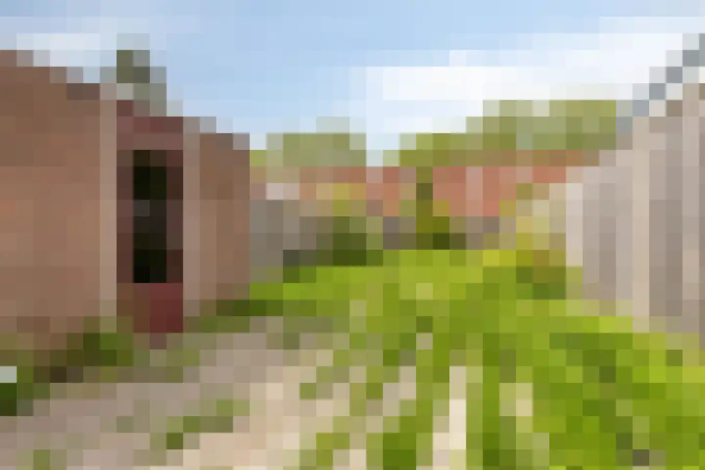 Dagmaatstraat 42 Purmerend thumbnail 6