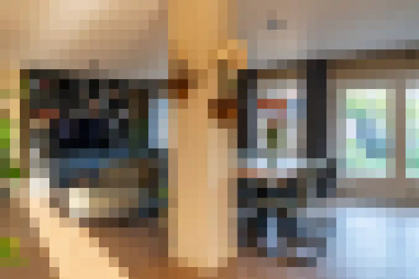 Dagoberthof 27 Venray thumbnail 12
