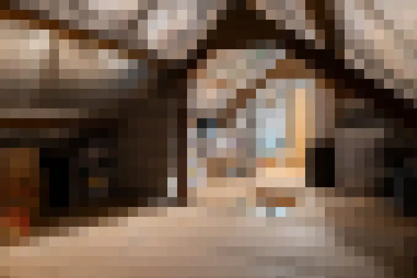 Dagoberthof 27 Venray thumbnail 42