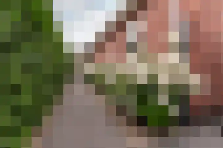 Dagobertstraat 10 Almere thumbnail 39