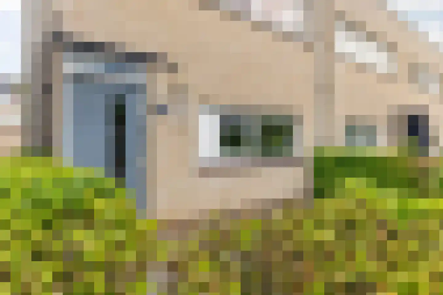 Dagpauwoog 10 Breda thumbnail 11