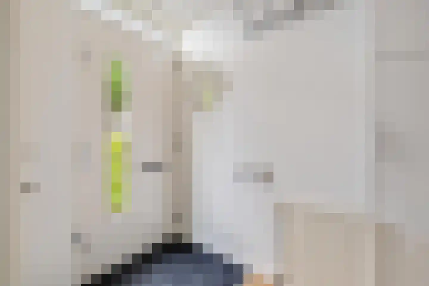 Dagpauwoog 10 Breda thumbnail 12