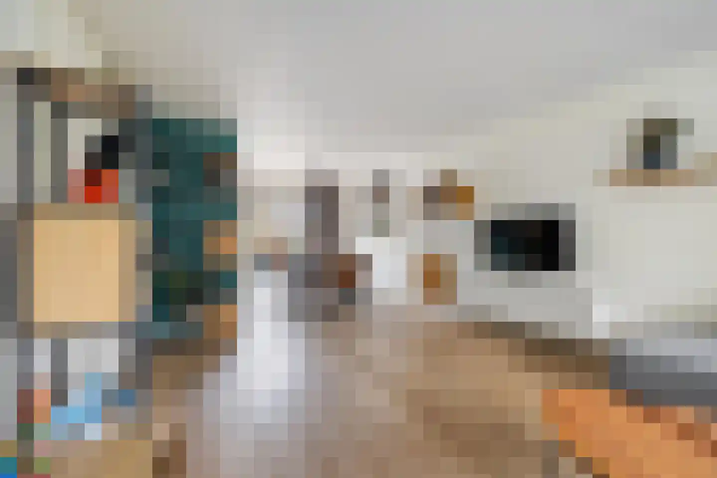 Dagpauwoog 10 Breda thumbnail 19