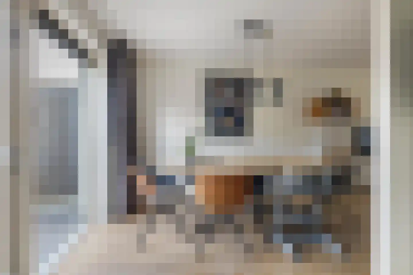 Dagpauwoog 10 Breda thumbnail 24