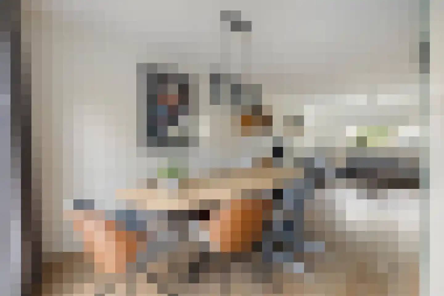 Dagpauwoog 10 Breda thumbnail 25