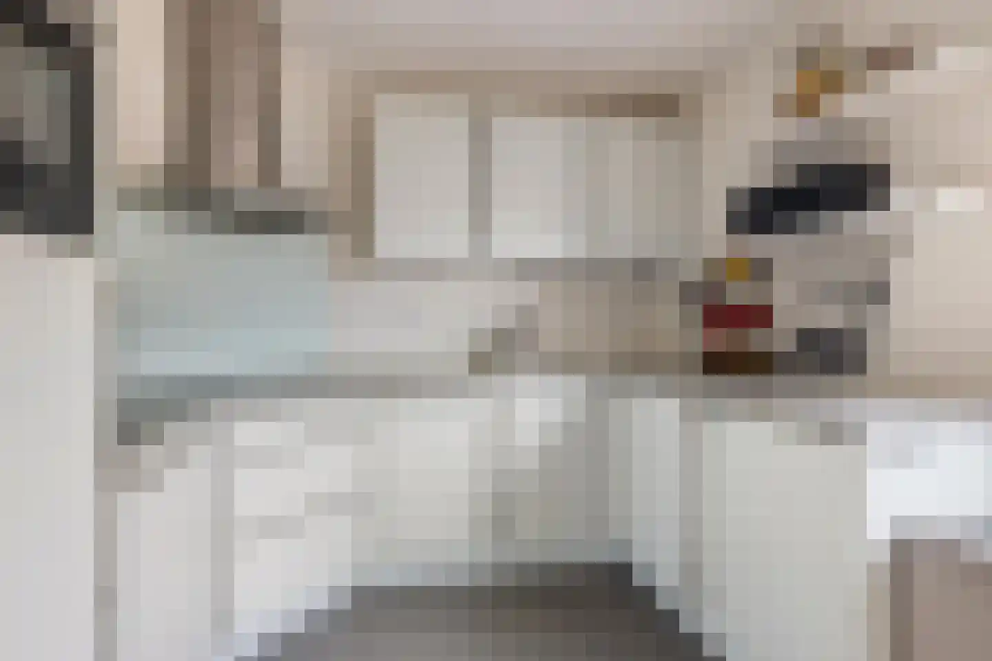 Dagpauwoog 10 Breda thumbnail 28