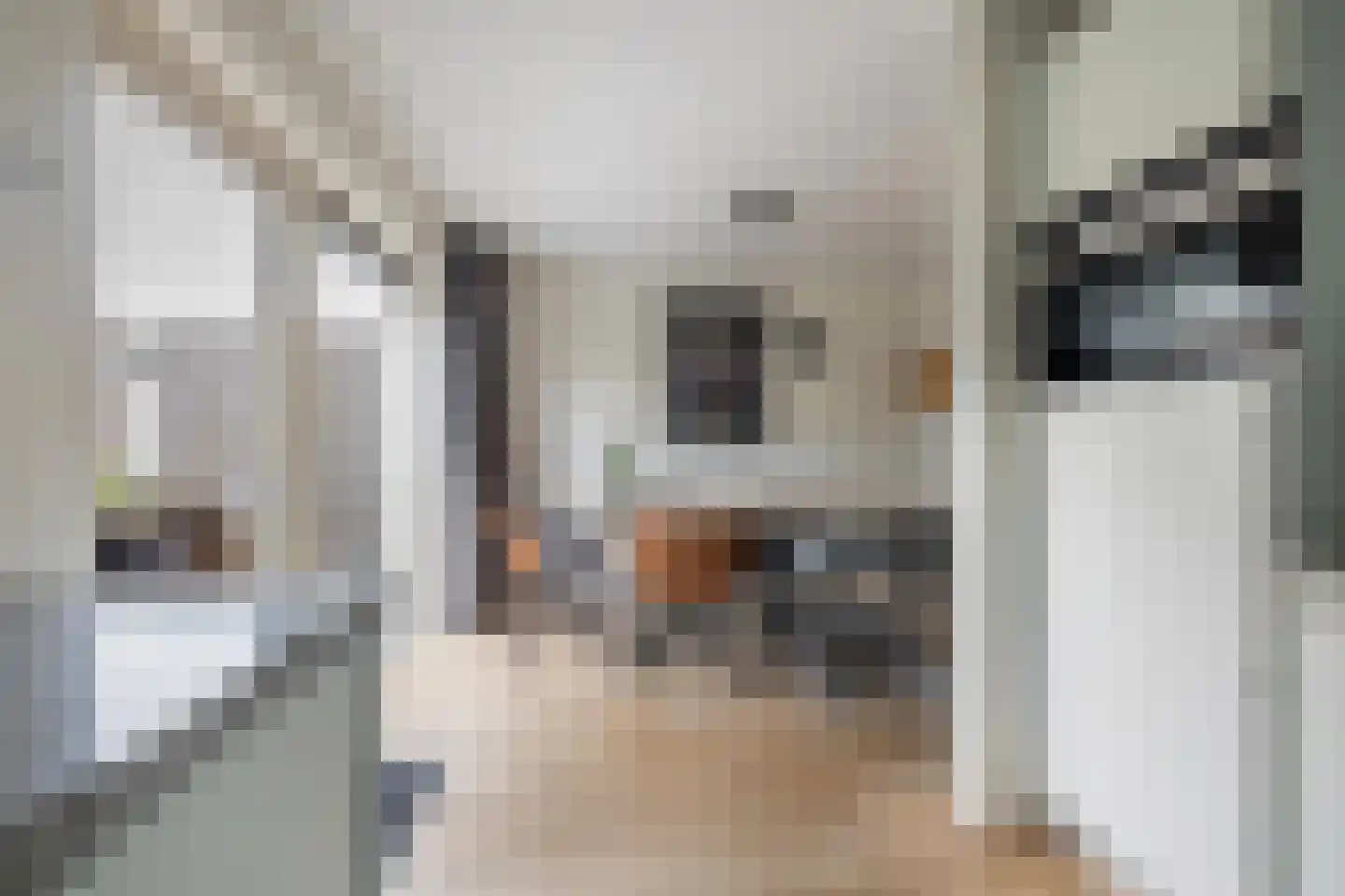 Dagpauwoog 10 Breda thumbnail 29