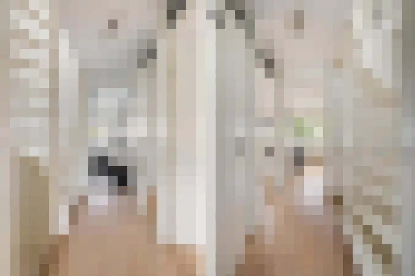 Dagpauwoog 10 Breda thumbnail 30