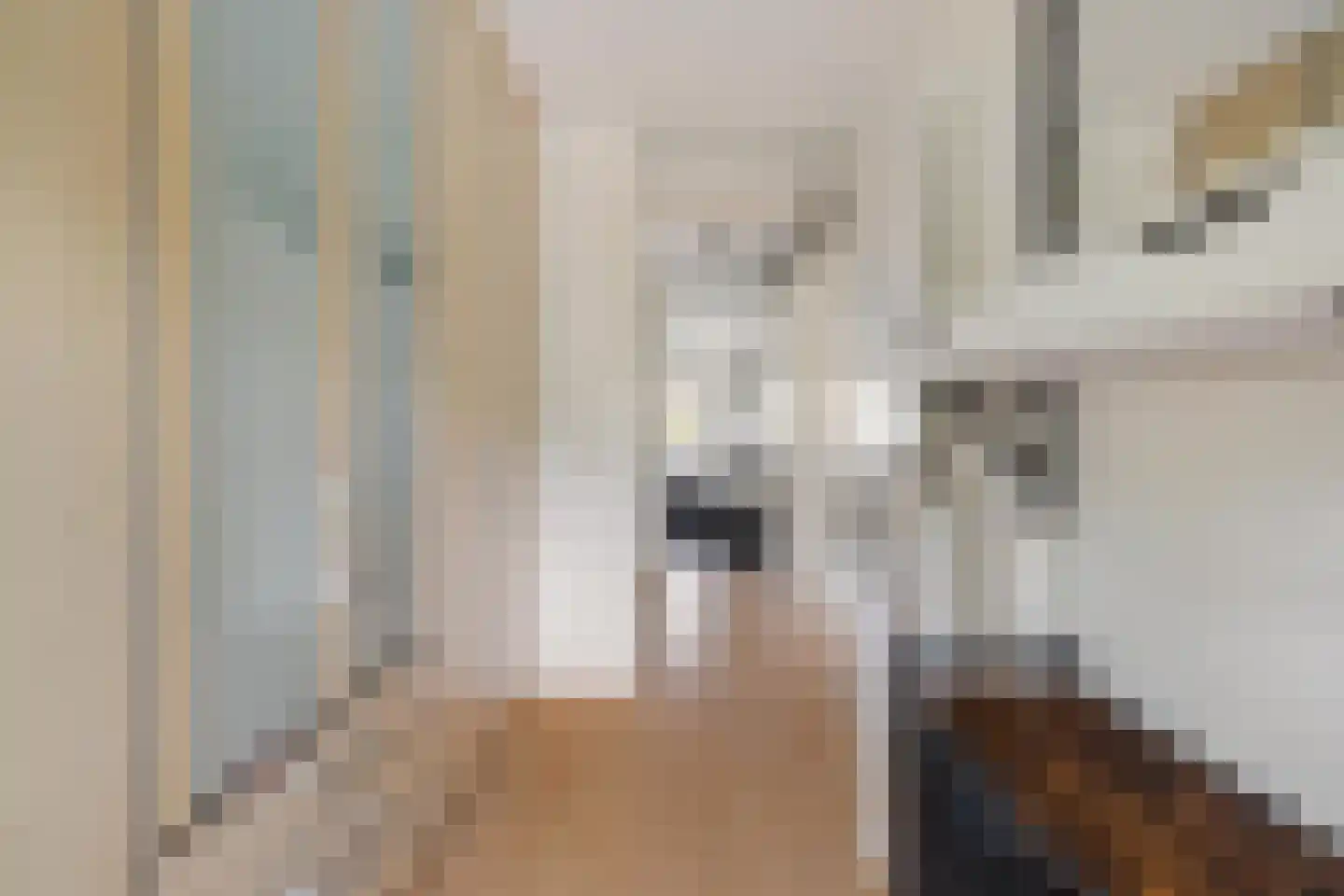 Dagpauwoog 10 Breda thumbnail 38
