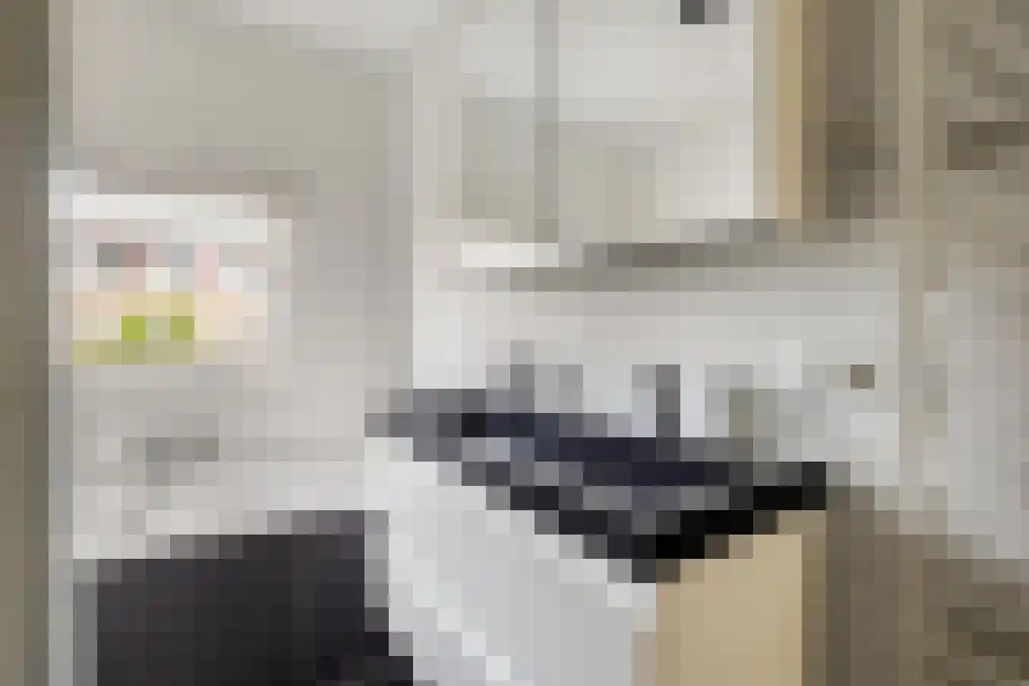 Dagpauwoog 10 Breda thumbnail 40