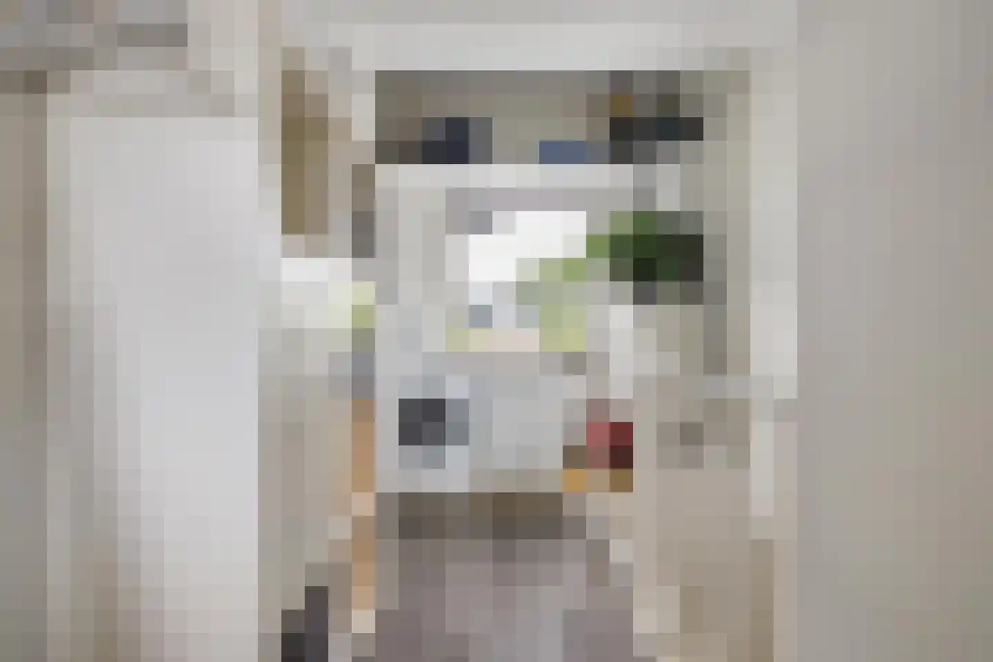 Dagpauwoog 10 Breda thumbnail 45