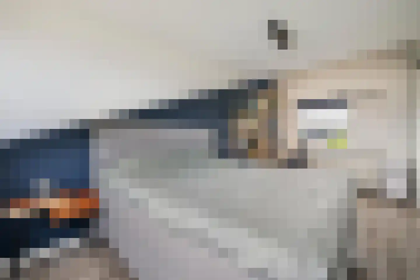 Dagpauwoog 10 Breda thumbnail 48