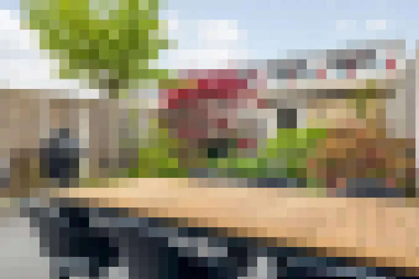 Dagpauwoog 10 Breda thumbnail 52