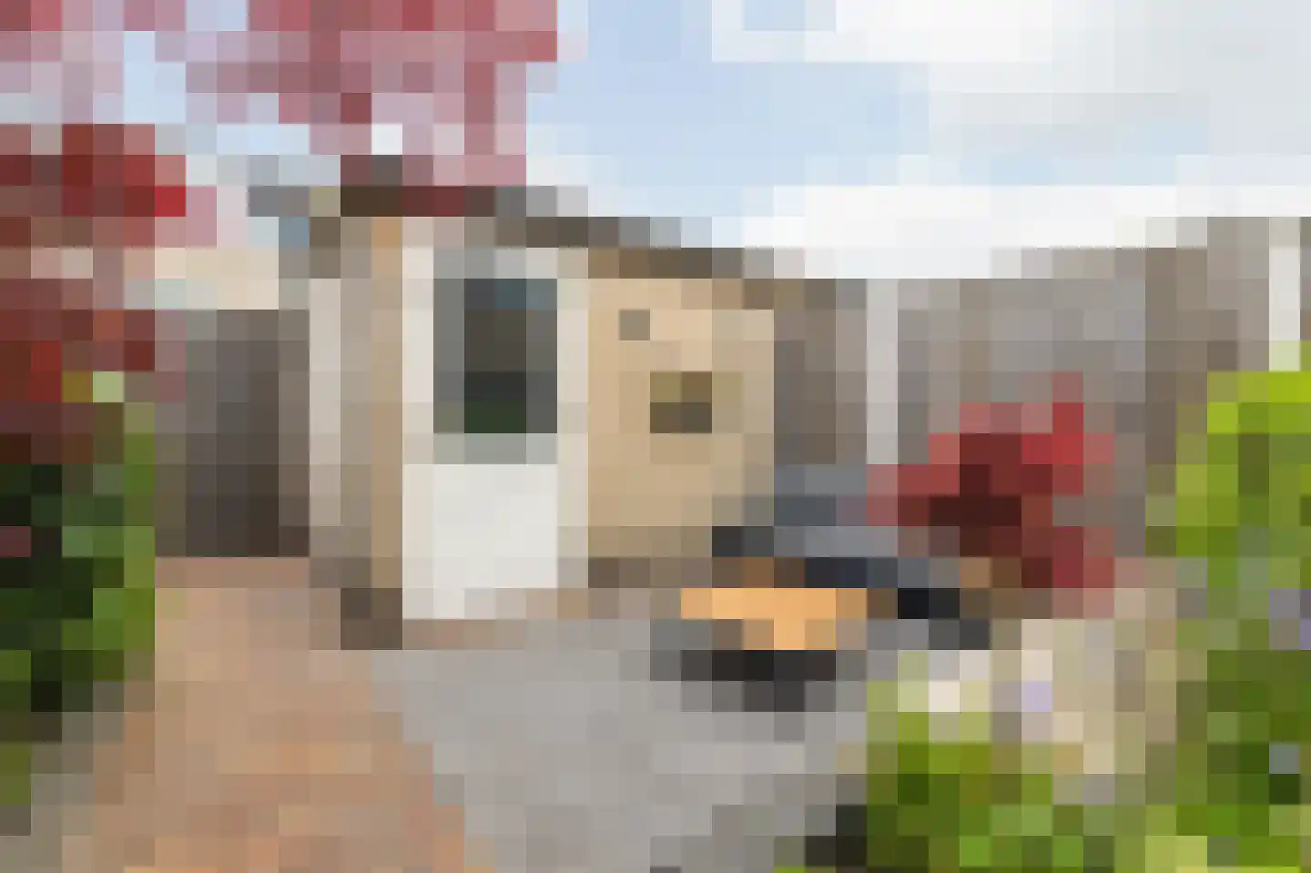 Dagpauwoog 10 Breda thumbnail 54