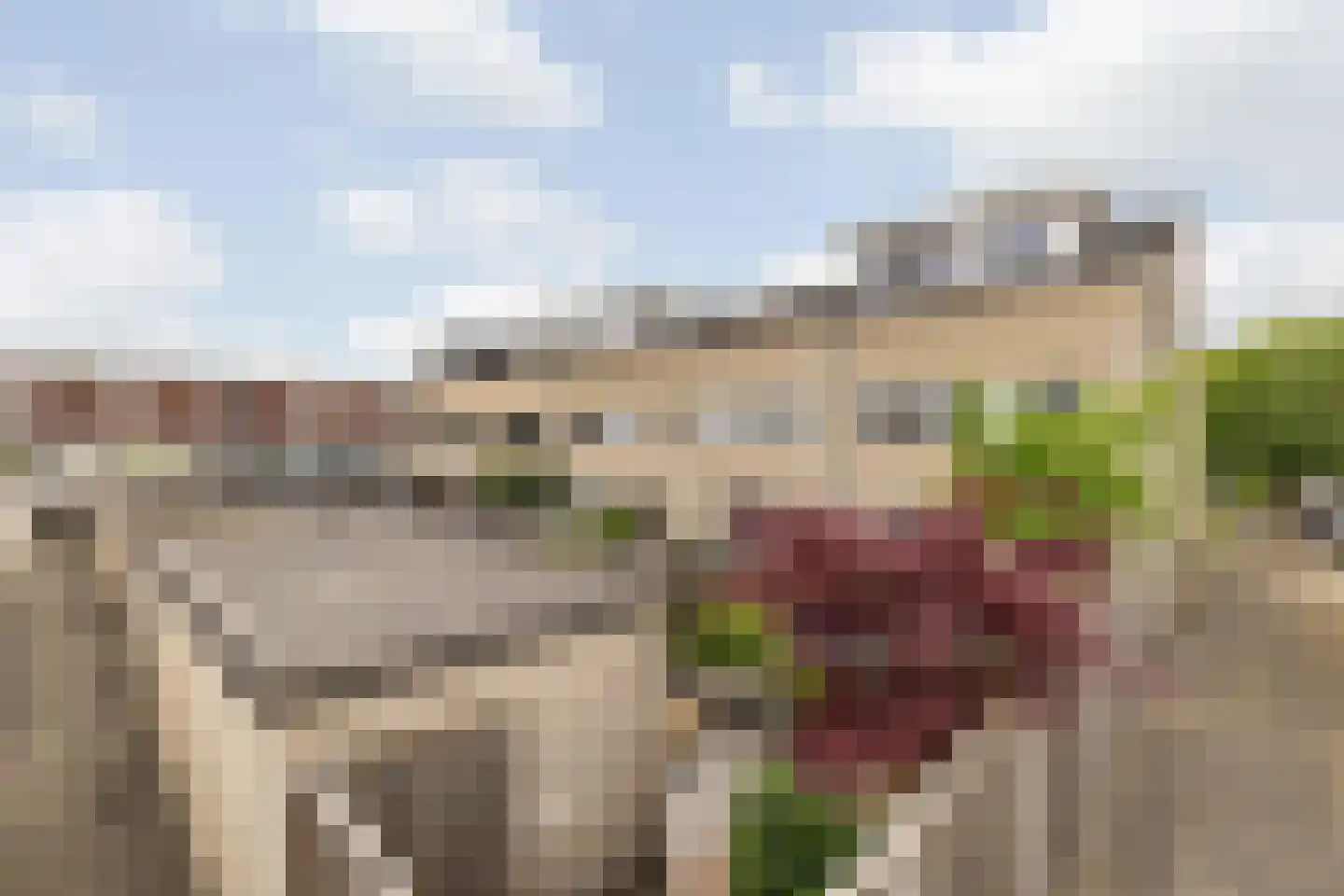 Dagpauwoog 10 Breda thumbnail 57