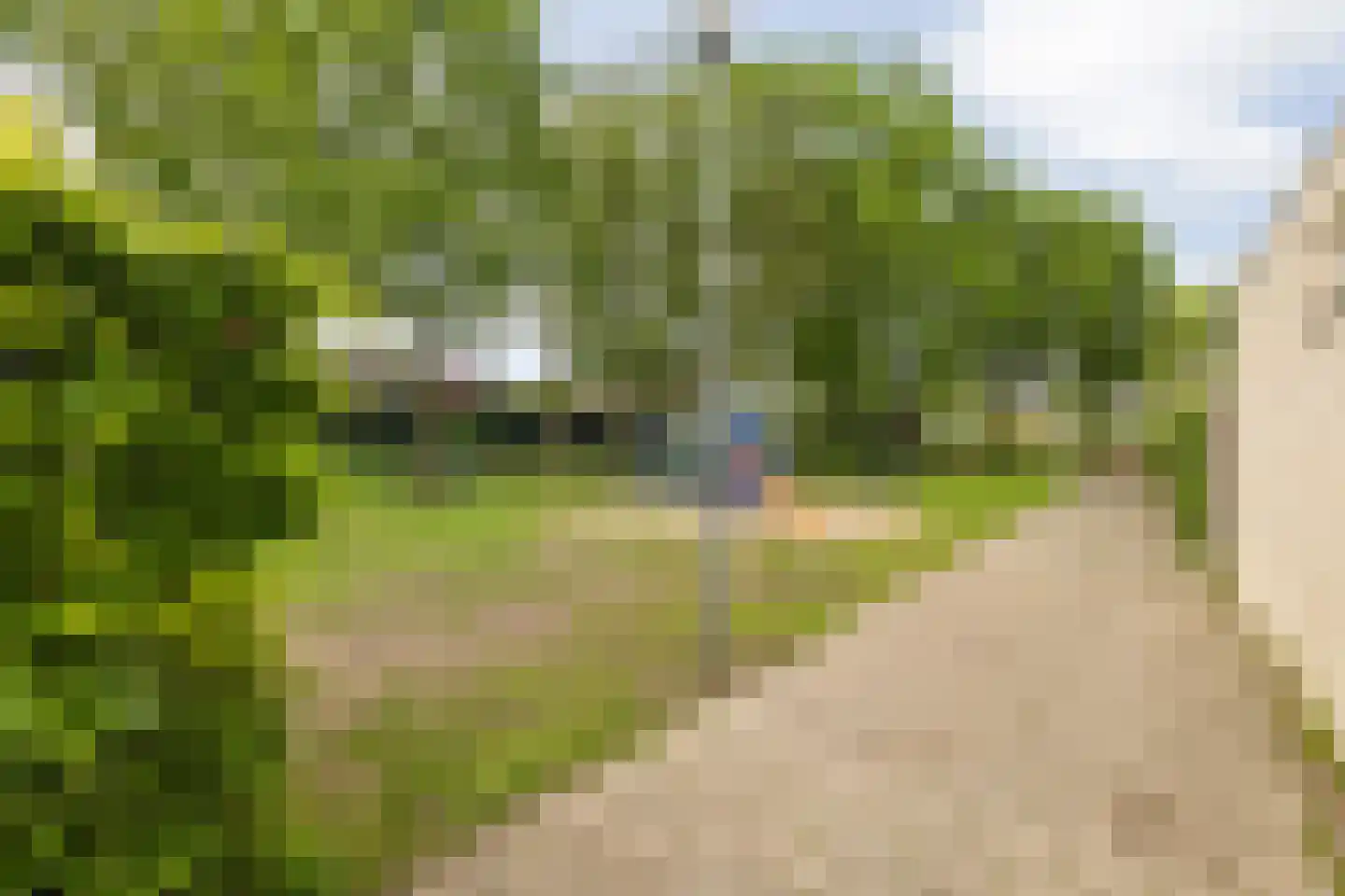 Dagpauwoog 10 Breda thumbnail 58