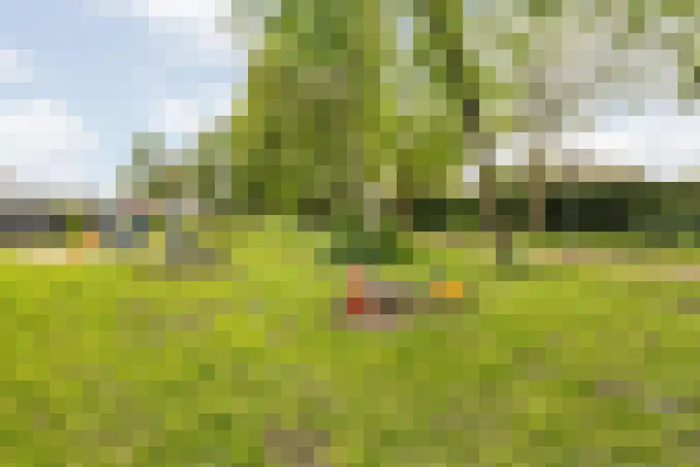 Dagpauwoog 10 Breda thumbnail 59