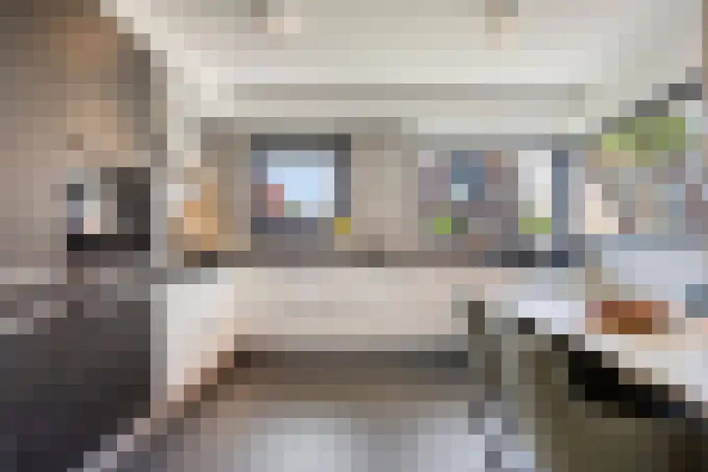Dagpauwoog 10 Mierlo thumbnail 12
