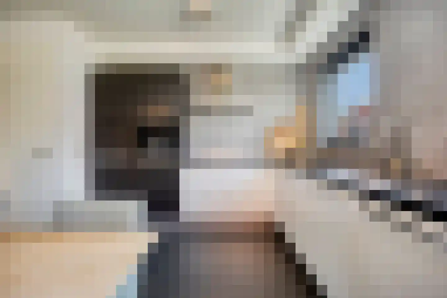 Dagpauwoog 10 Mierlo thumbnail 15