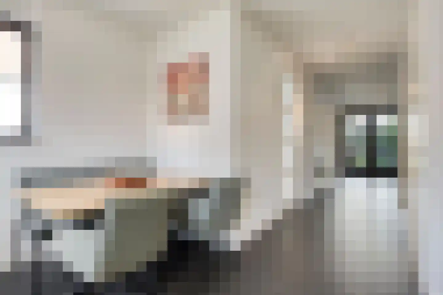 Dagpauwoog 10 Mierlo thumbnail 16