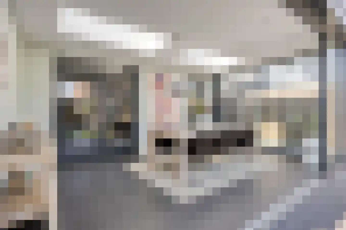 Dagpauwoog 10 Mierlo thumbnail 17