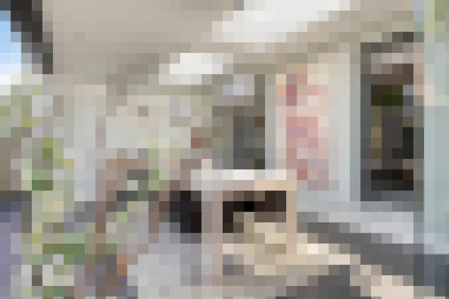 Dagpauwoog 10 Mierlo thumbnail 20