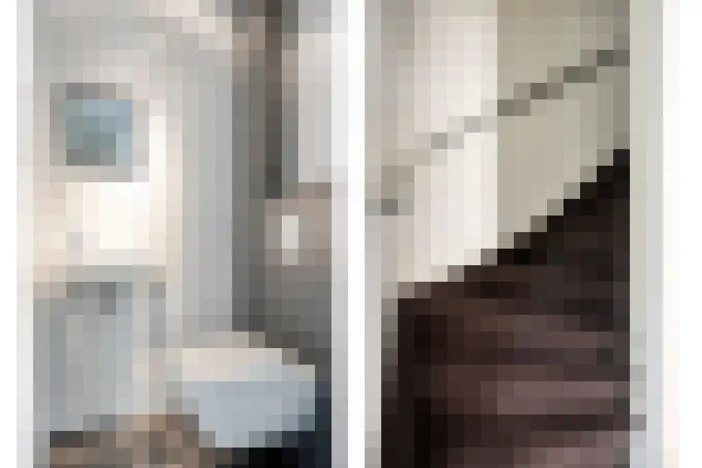 Dagpauwoog 10 Mierlo thumbnail 22