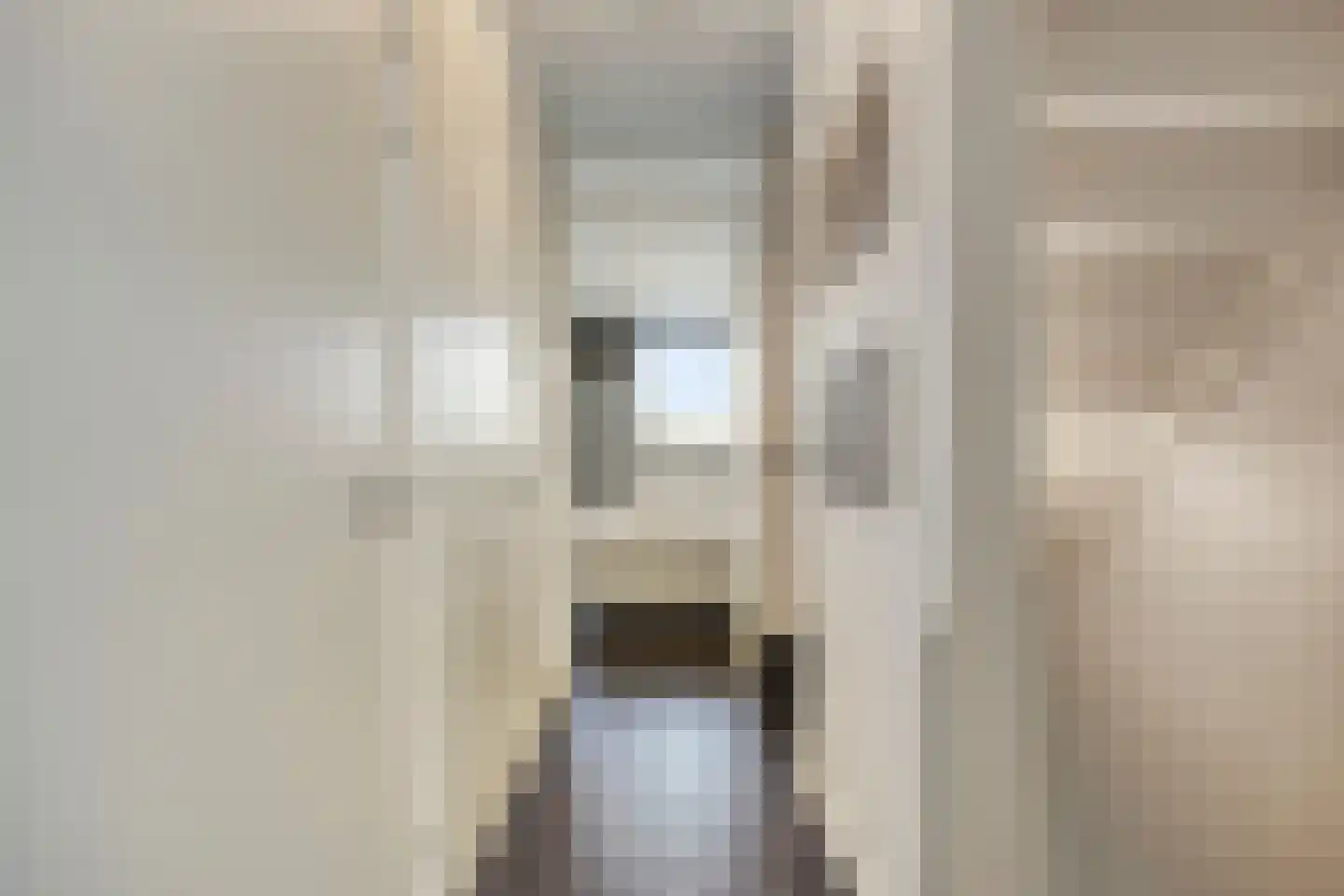 Dagpauwoog 10 Mierlo thumbnail 23