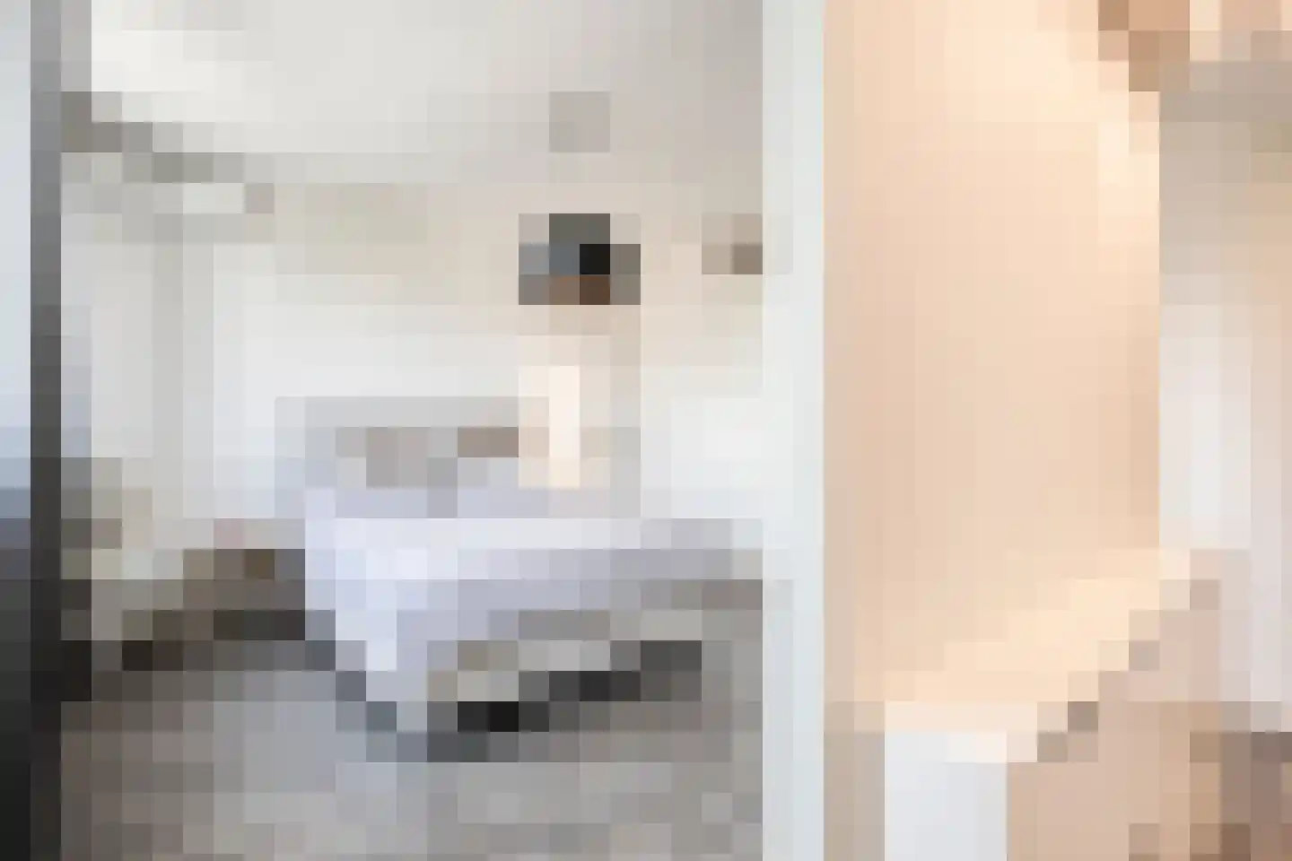 Dagpauwoog 10 Mierlo thumbnail 26