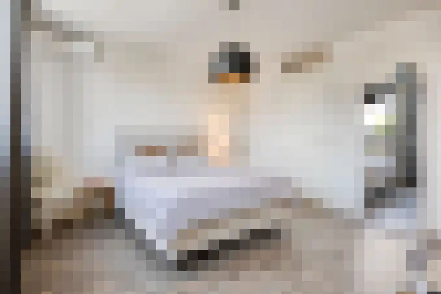 Dagpauwoog 10 Mierlo thumbnail 27