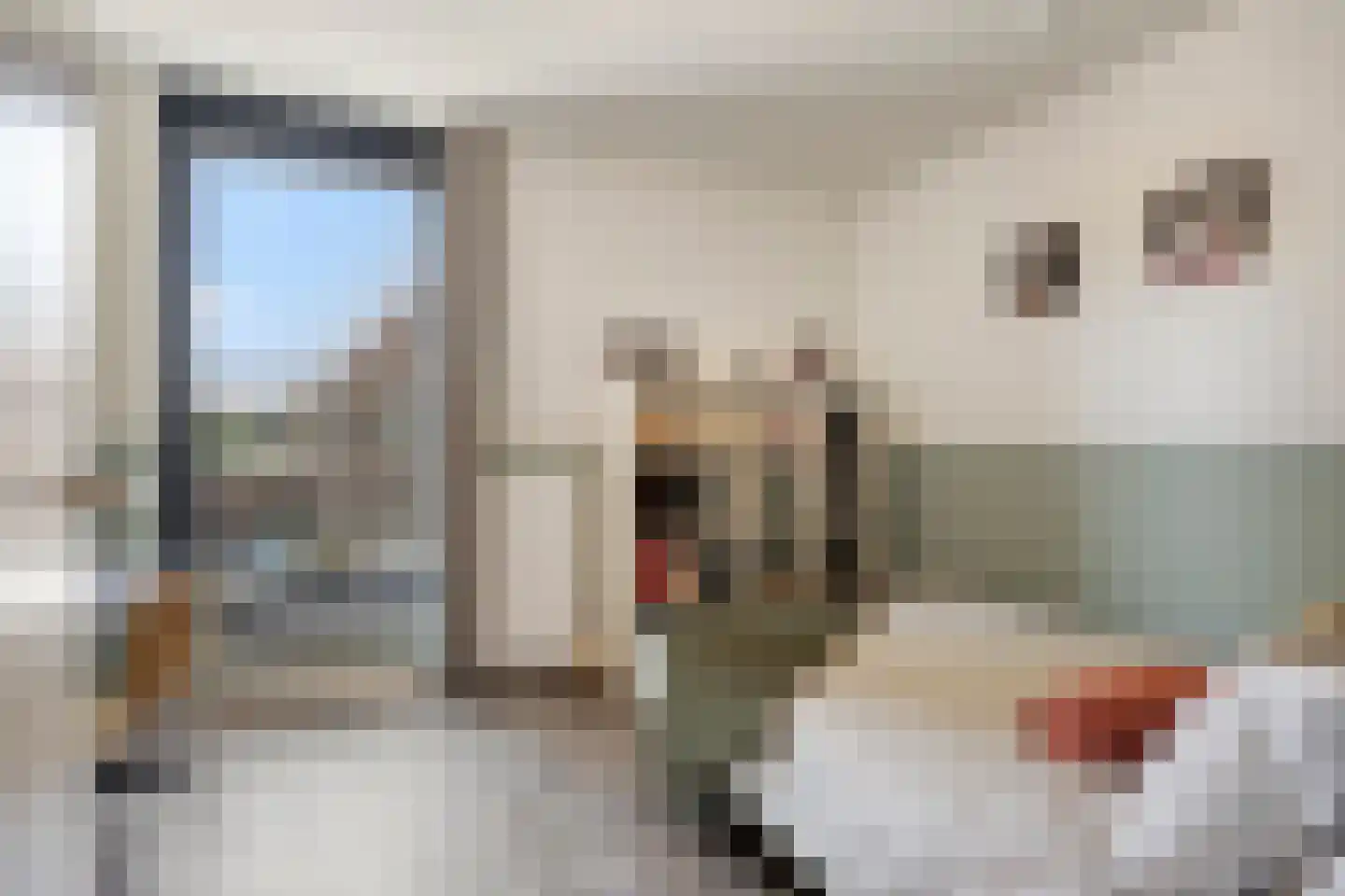 Dagpauwoog 10 Mierlo thumbnail 30